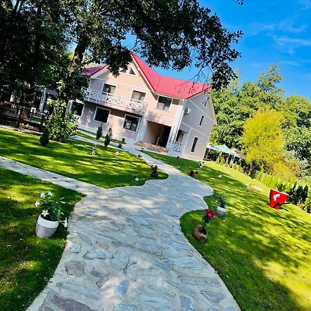 Pensiunea Pink House Runcu Otel Runcu  Dış mekan fotoğraf
