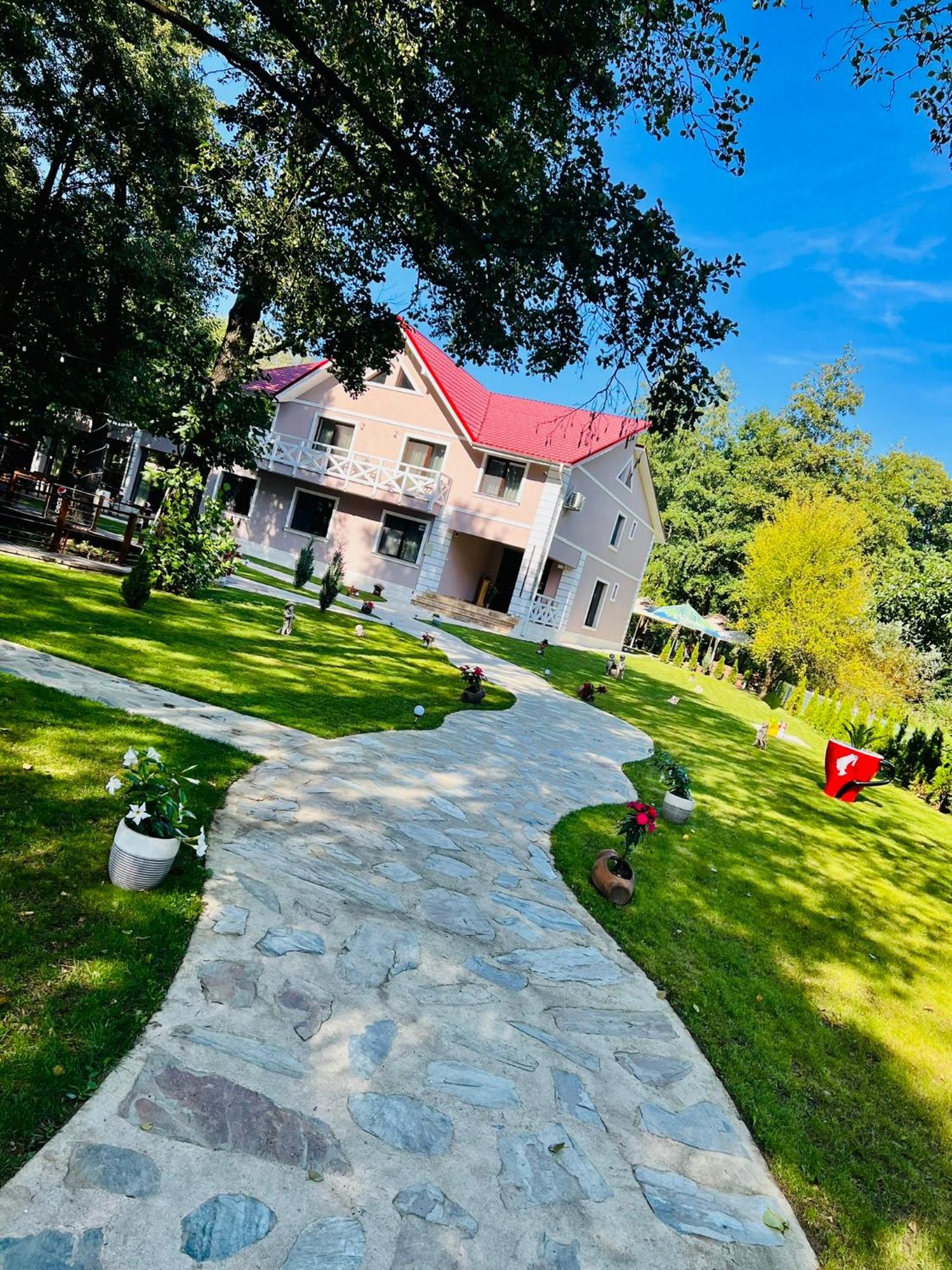 Pensiunea Pink House Runcu Otel Runcu  Dış mekan fotoğraf